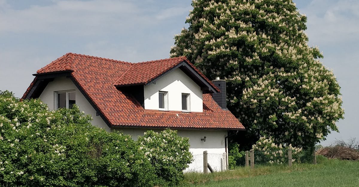 Zamieszkać z teściami i nie zwariować: przewodnik po codziennej harmonii